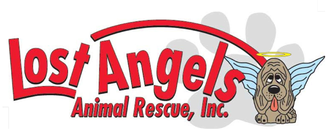 Heather Randall | Logo